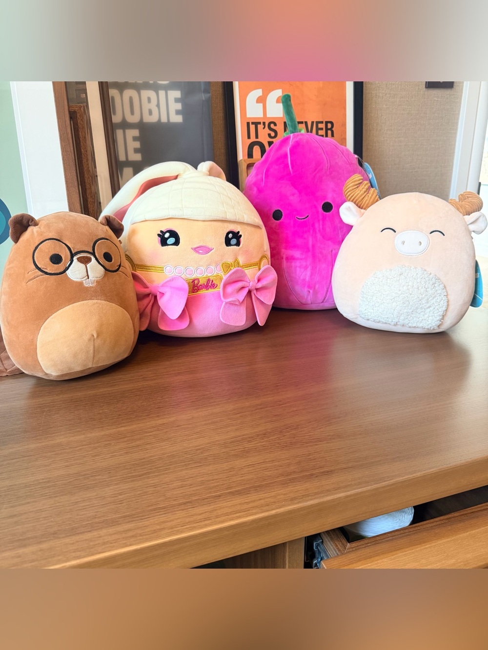 Set of Squishmallows and Barbie ready to be snuggled!